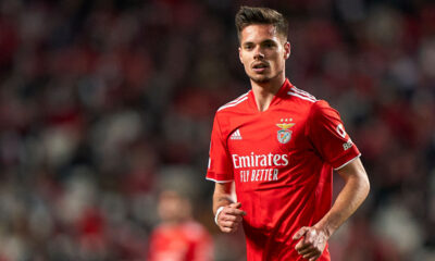 weigl benfica