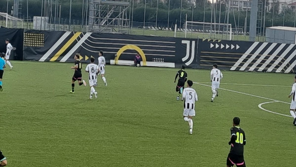 Juve Psv Primavera