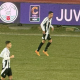 turicchia juve